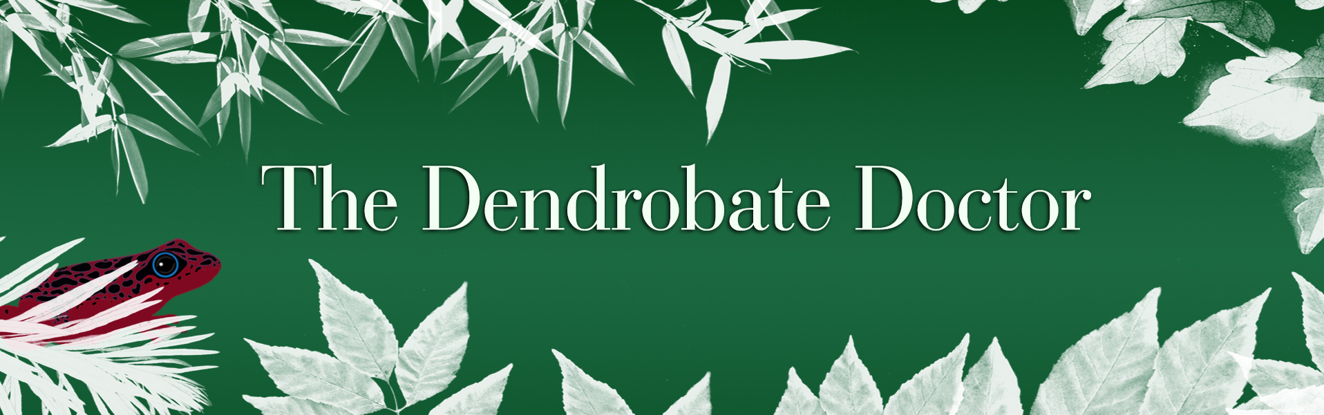 The Dendrobate Doctor